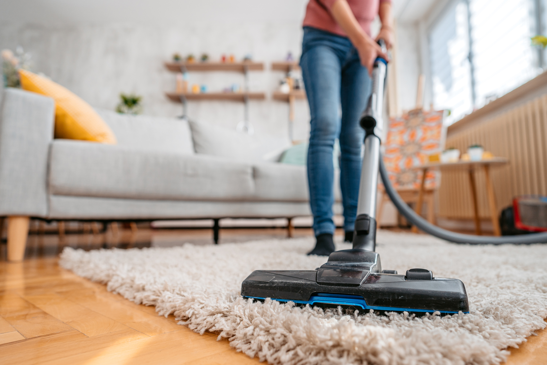 carpet-care-cleaning-michigan-city-in