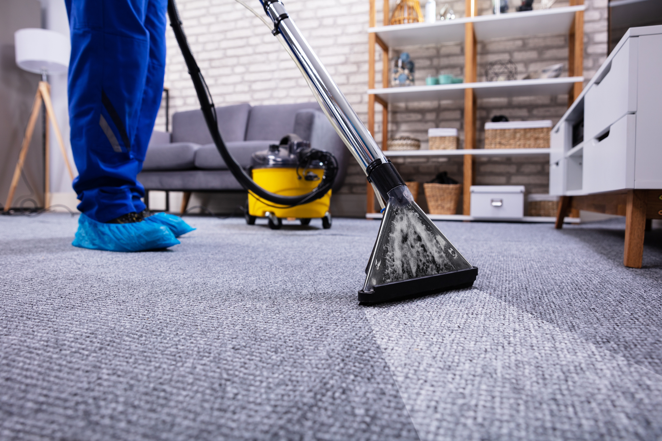 commercial carpet cleaning services michigan city in